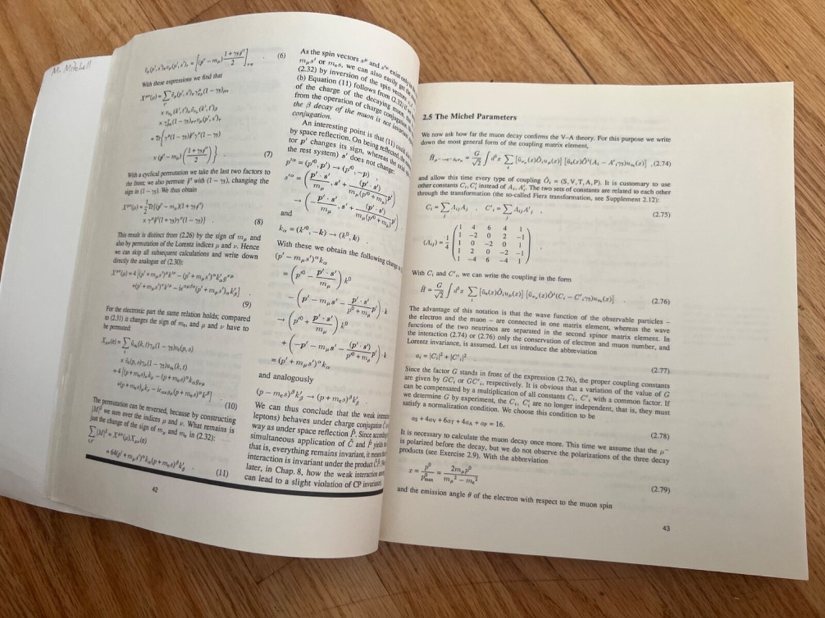 Theoretical Physics Book: Volume 5: 1993: Gauge Theory of