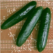 Stonewall Cucumbers Seeds (25+ Seeds)(More Heirloom, Organic, Non GMO, Vegetable