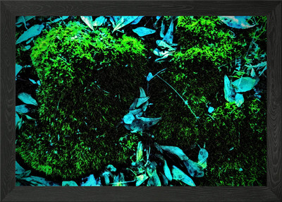 Lucid Memories, Verdant Dreams Framed Wall Art Poster Canvas Print Picture