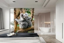 3D Australian Koala D129 Animal Wallpaper Mural Self-adhesive Removable Honey