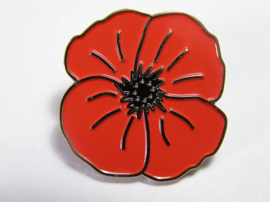 Poppy store brooch ebay