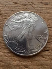 1991 UNCIRCULATED RAW SILVER EAGLE Super Nice Coin rb19