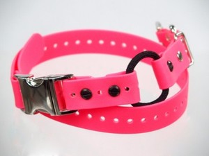 bungee dog collar