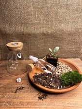 terrarium kit -live terrarium-moss kit-diy terrarium kit, Team builds activity.