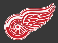 Detroit Red Wings Vinyl Decal Graphic Car Truck Cell Phone Laptop Hockey