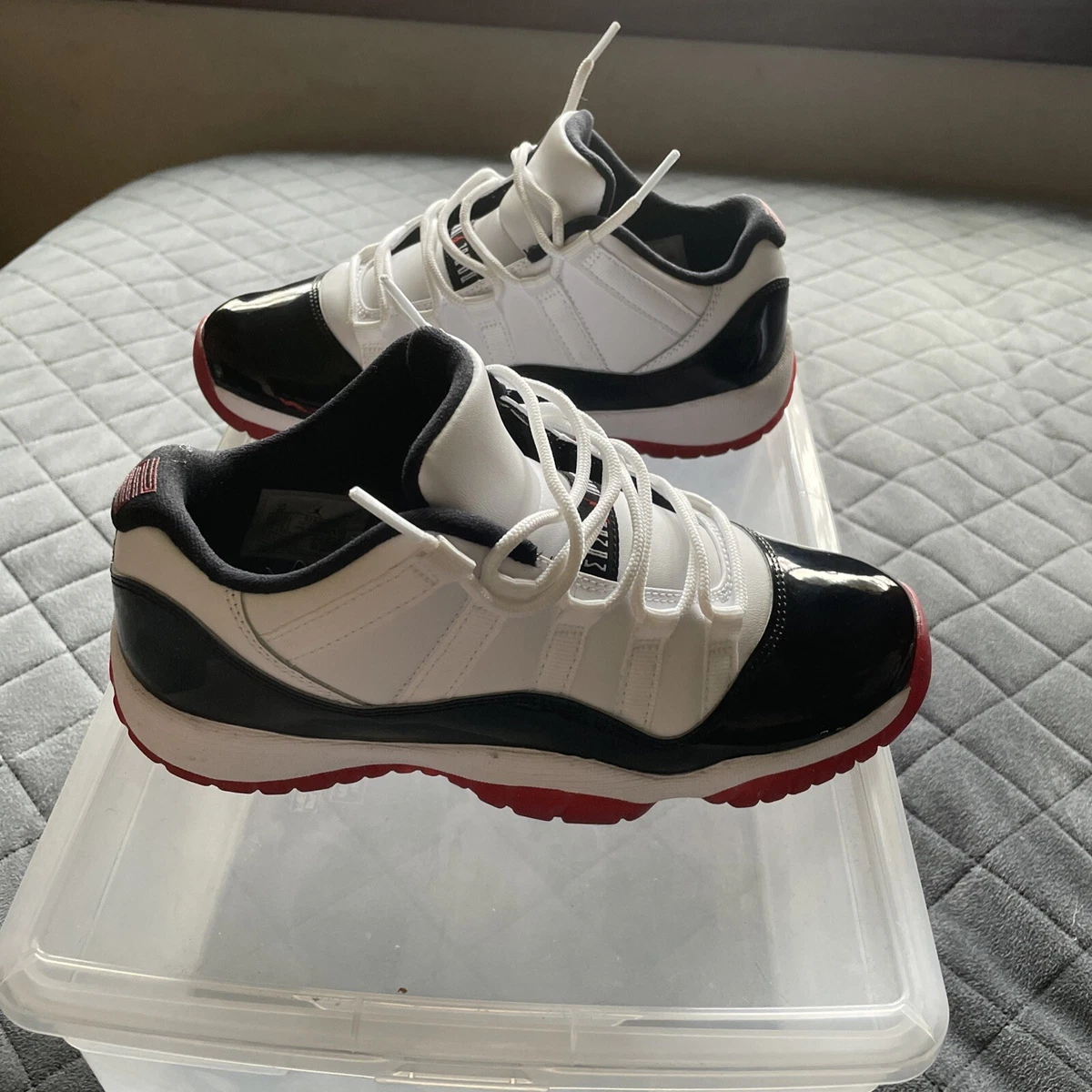 Concord 11s sales size 5