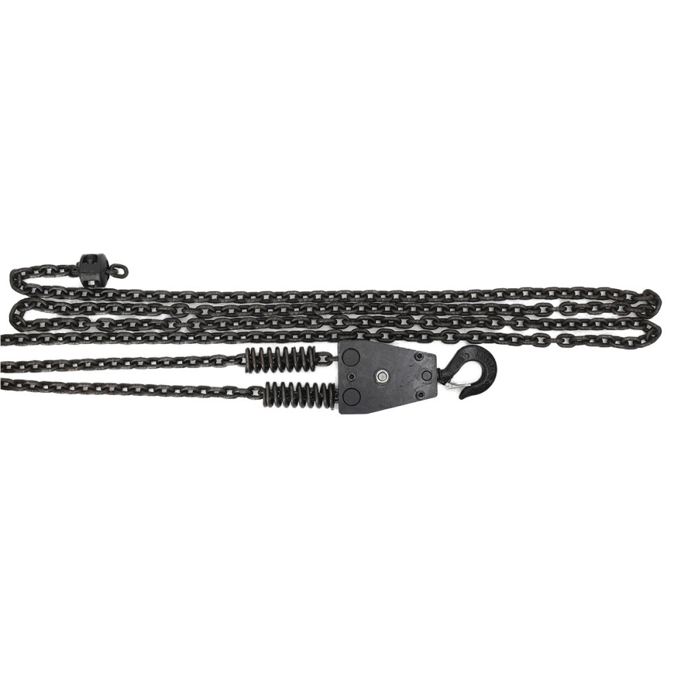 2200 LBS Electric Chain Hoist Double Chains Hoist Crane 20FT Chain 110V 2.5M/min