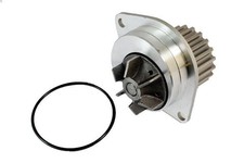 Pompe à eau Rover 25