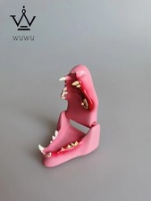 Cat Sick Tooth Model Cat Dental Feling Jaws Skeleton Veterinary Teaching