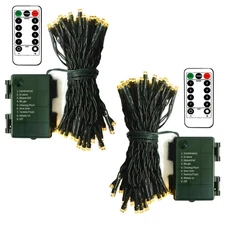 echosari 2 Pack Battery Operated Christmas Lights 16ft Green Wire 50 LED Fairy