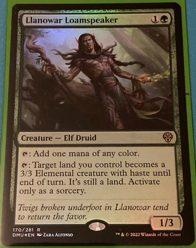 FOIL Llanowar Loamspeaker / Primal Root Champion - DOM. UNITED - English (NM -)