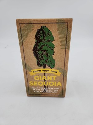 The Grow Your Own Giant Sequoia Kit: Plant the Biggest Tree in the World in Your