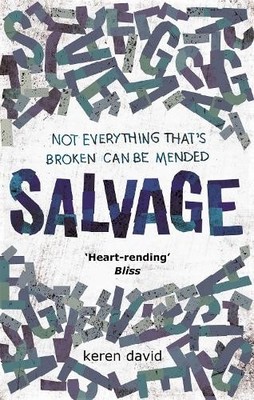 Keren David Salvage (Taschenbuch)
