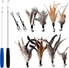 Interactive feather wand toy for indoor cats.
