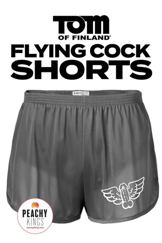 PANTALONCINI DA UOMO GAY TOM OF FINLAND FLYING COCK SEXY GAY PALESTRA MILITARI TWINK - Foto 7 di 8