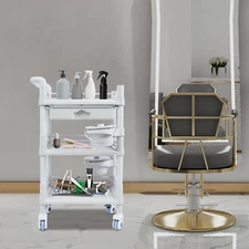 Salon Storage Cart, Movable Beauty Organizer, Mobile Storage Cart