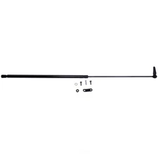 Liftgate Lift Support Strong Arm 4952R