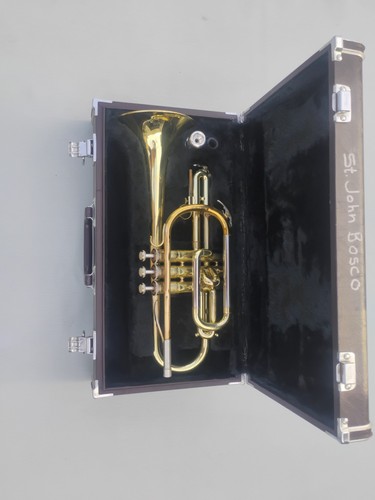 cornet Yamaha ycr 231