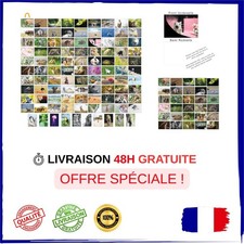 Lot de 100 cartes postales animaux - 100 motifs différents 10x15 cm
