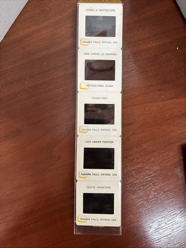Lotto diapositive vintage - 30+ "scatole" del 1940+ con custodia ***non testate - Foto 4 di 24