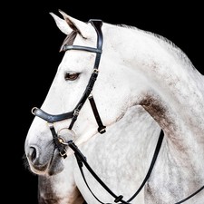 Micklem 2.0 Multi Bridle, Black, Full