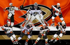 Anaheim Ducks Lithograph print of team Anaheim Ducks 17 x 11