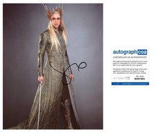 Lee Pace “The Hobbit” AUTOGRAPH Signed ‘Thranduil’ 10x8 Photo ACOA