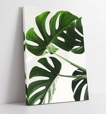 MONSTERA LEAF 7 CANVAS WALL ART FLOAT EFFECT/FRAME/PICTURE/POSTER PRINT- WHITE