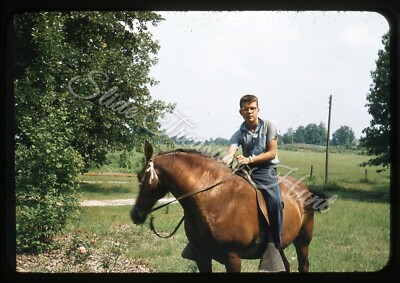 Boy Horse Pine Ridge Tennessee 35mm Slide 1950s Red Border Kodachrome