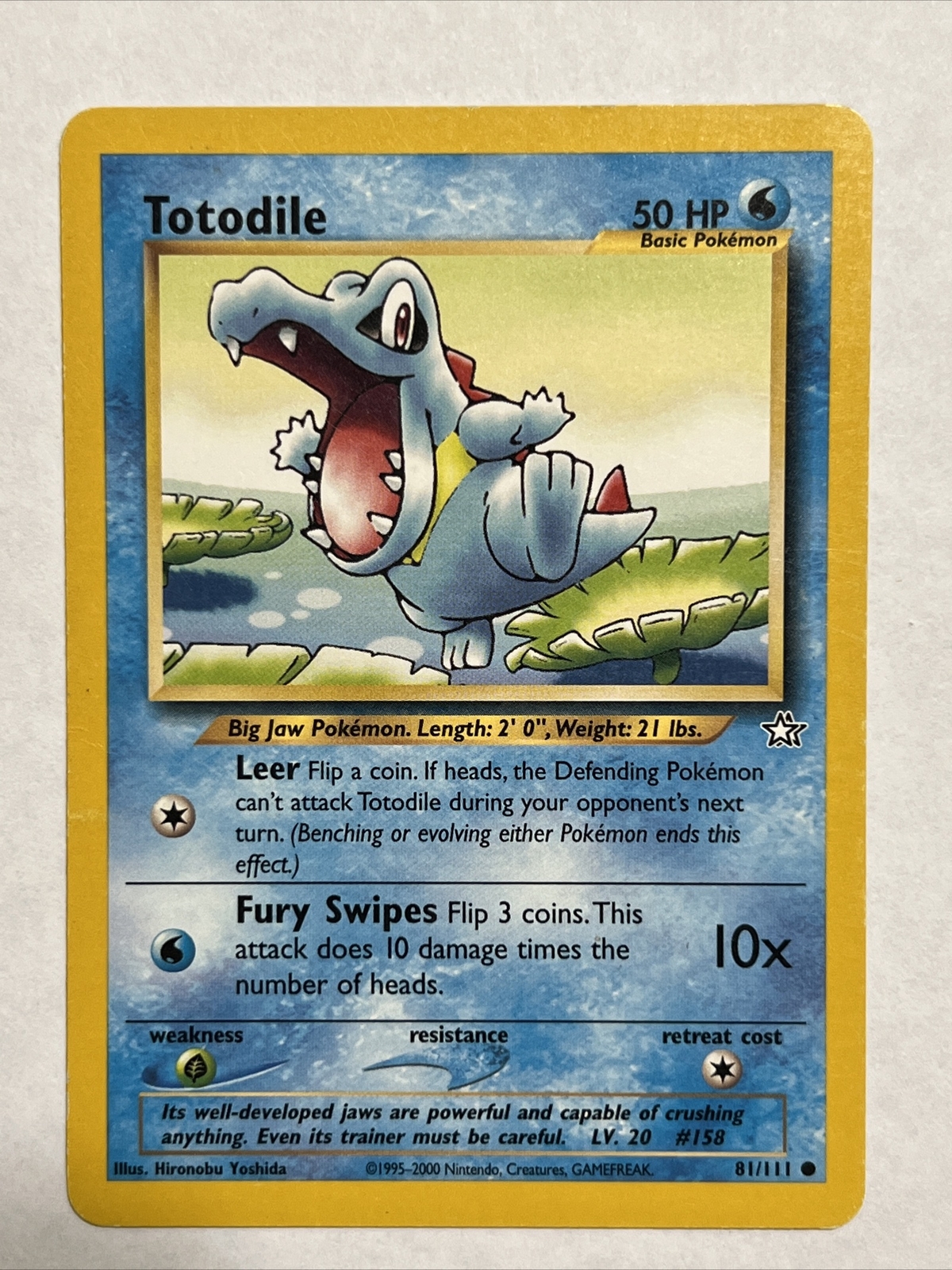 Totodile 81/111 | Neo Genesis | Common | Pokemon NM-LP
