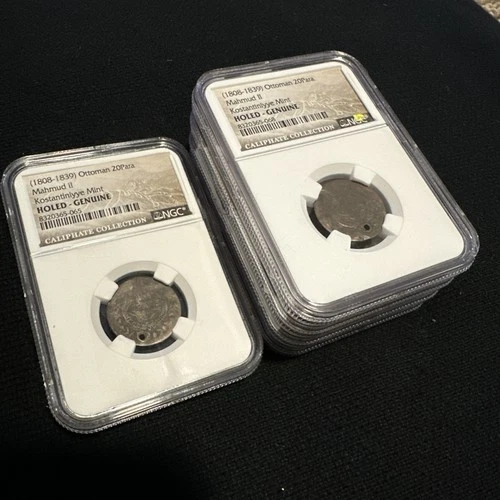 🦃 Lot of 5 1808-1839 CE Turkey 20P, Ottoman Empire-Mahmud II, NGC Genuine-Holed