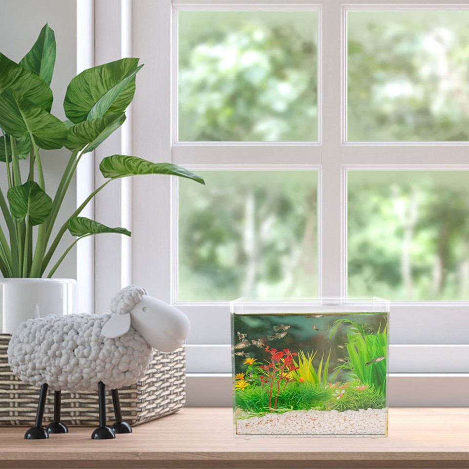 Plastic Fish Tank Transparent Desktop Fish Bowl Fish Feeding Bowl