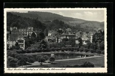 Bad Sooden-Allendorf, Swan Pond, postcard