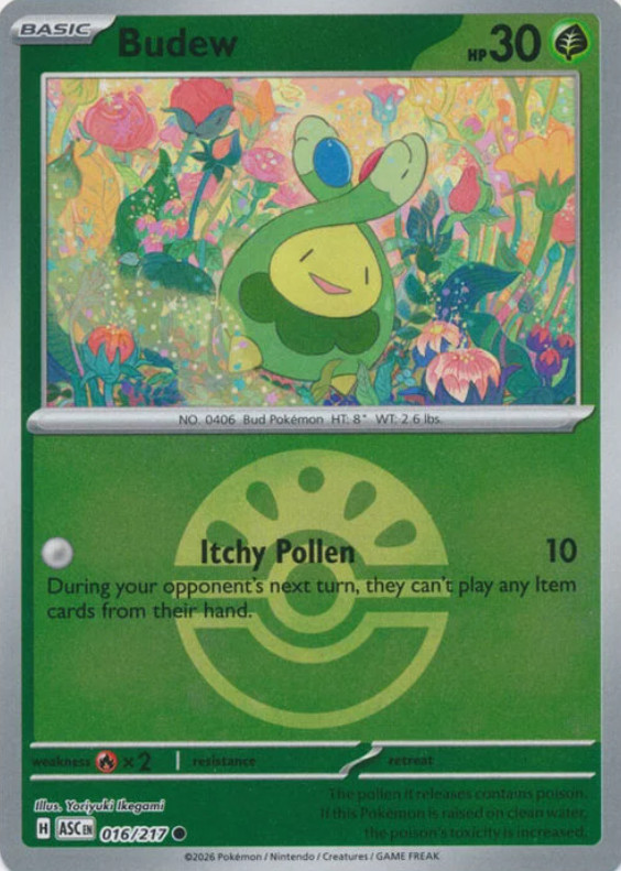 Pokemon Budew (16/583) Ascended Heroes MP REVERSE HOLO- Friend Ball