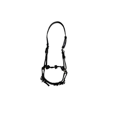#ad #ad Handmade Paso Fino Jaquima Leather Headstall Barbada Curb Strap Training Bridle $64.00