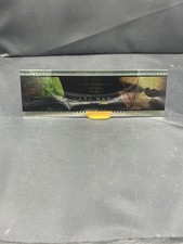 Project Hail Mary 70mm IMAX Exclusive Film Strip