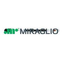 Miraglio TüRaußEngriff 80/720 FüR BMW X5 E53