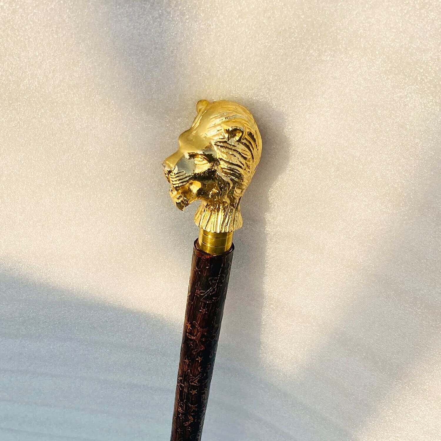 Picture 4 of 12