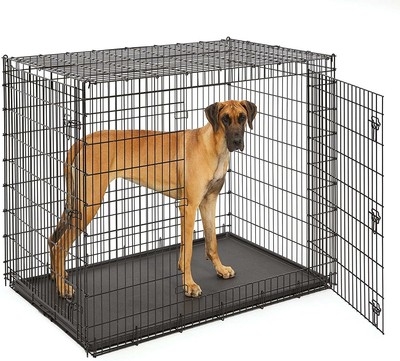 ginormous dog crate