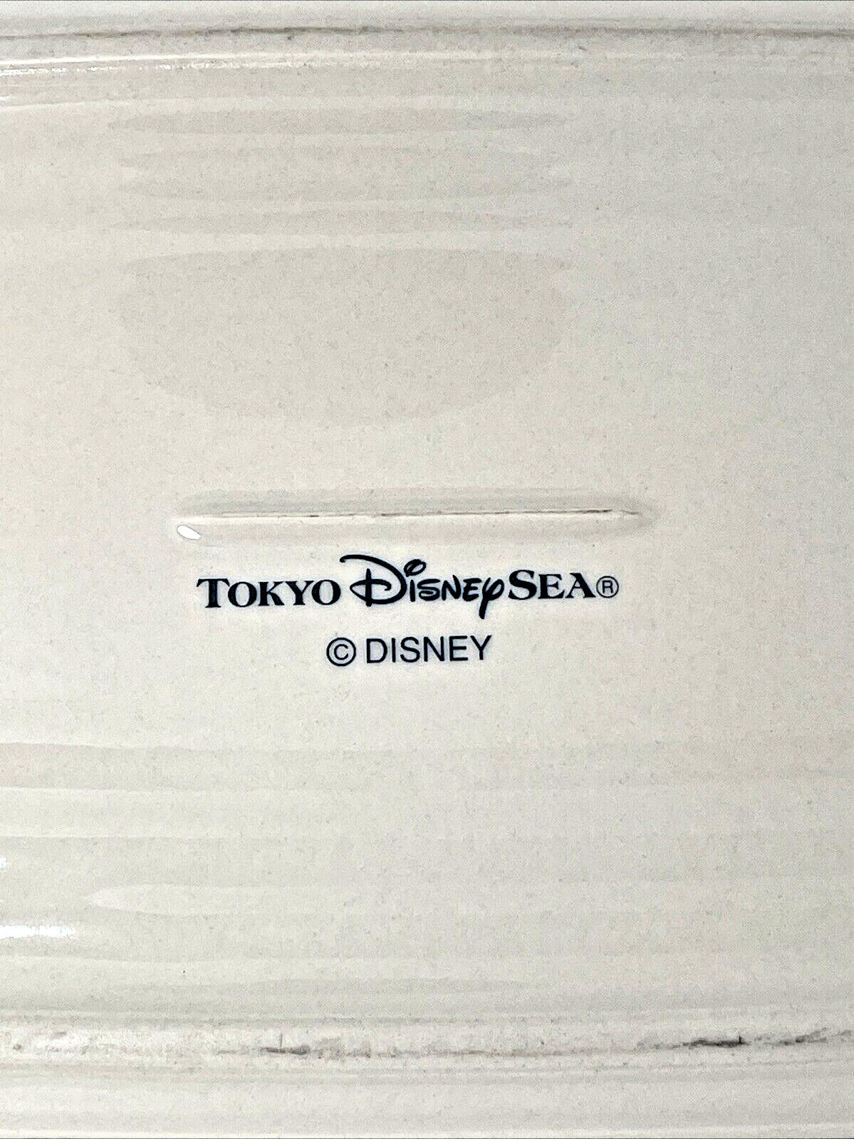 Tokyo Disney Sea Casserole Home Style Dish 14 inches Excellent
