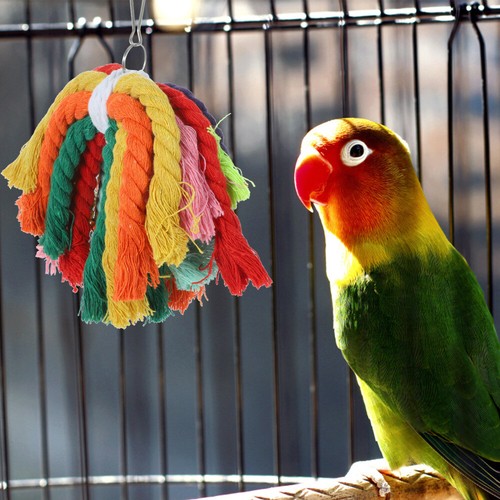 Practical Colorful Hanging Toy Cage Decor Bite Toys Pet Toy Birds Parrots Pets