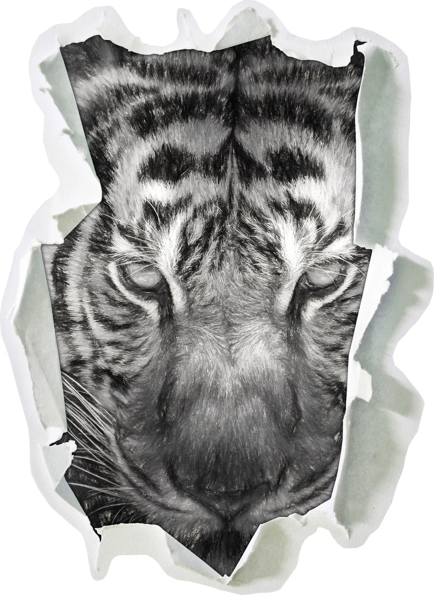 Adesivo Effetto 3D Stickers Adesivo Da Parete Tigre Aspetto 3D