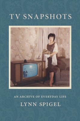 TV SNAPSHOTS by Lynn Spigel Paperback Self Help Business