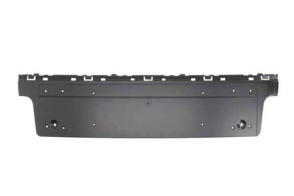 Front BLIC 6509-01-0076920P Licence Plate Holder for BMW