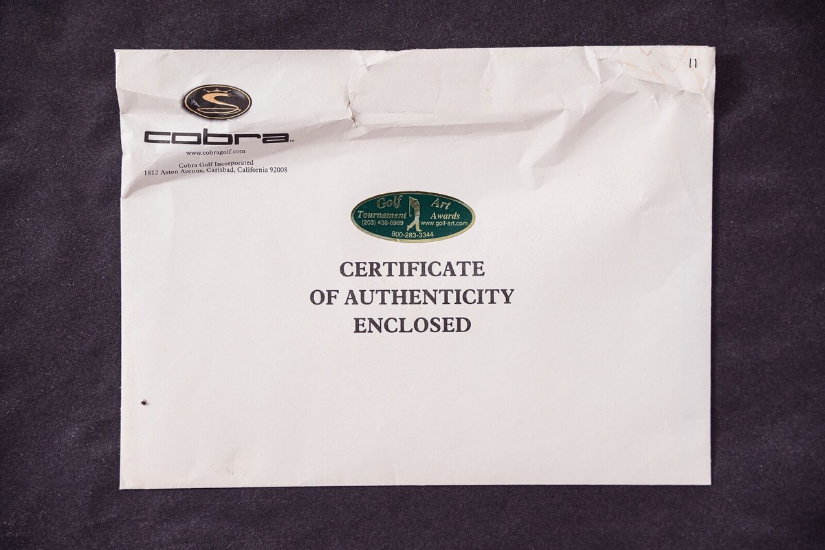 Tiger Woods Cobra 1997 Commemorative Set | eBay