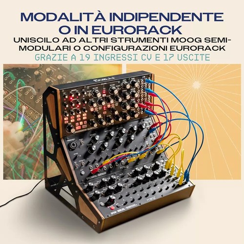MOOG SPECTRAVOX sintetizzatore a processore spettrale analogico semi-modulare - Picture 10 of 10