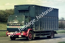 THH Truck Photos - Leyland - Buy British Meat Livestock.