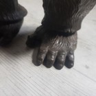 Foto 11 di 17