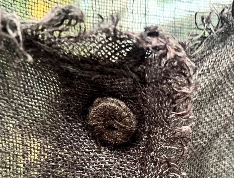 Chaqueta Top/Capas EILEEN FISHER Negra 100% Lino Fino, Talla Mediana Foto 3 de 4