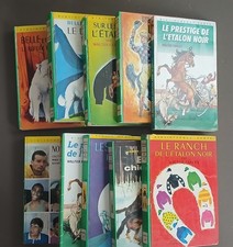 Superbe Lot 10 Livres - Bibliotheque Verte Vintage (L'Etalon Noir, Chien-Loup)